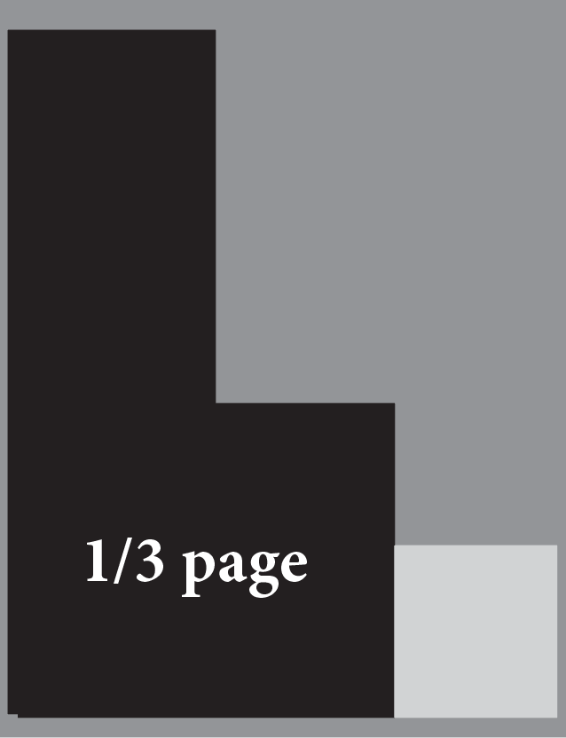 1/3 page